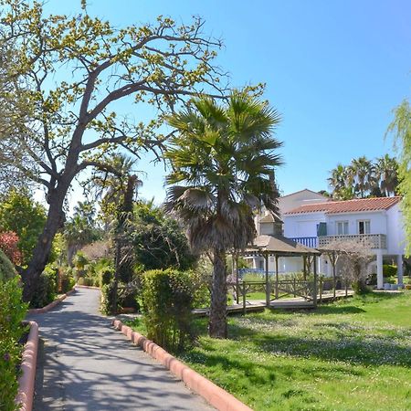 Jolie Et Coquet Appartement T2 - Caicos 45 Canet-en-Roussillon Eksteriør billede