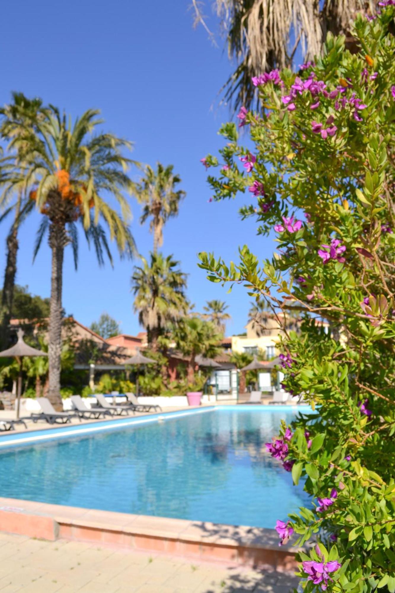 Jolie Et Coquet Appartement T2 - Caicos 45 Canet-en-Roussillon Eksteriør billede